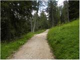 Passo Tre Croci - Sella di Punta Nera